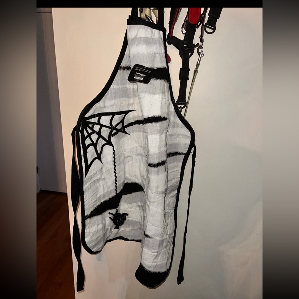 Rare pier 1 Halloween apron new with tags! Spider is pop up and spiderweb look!